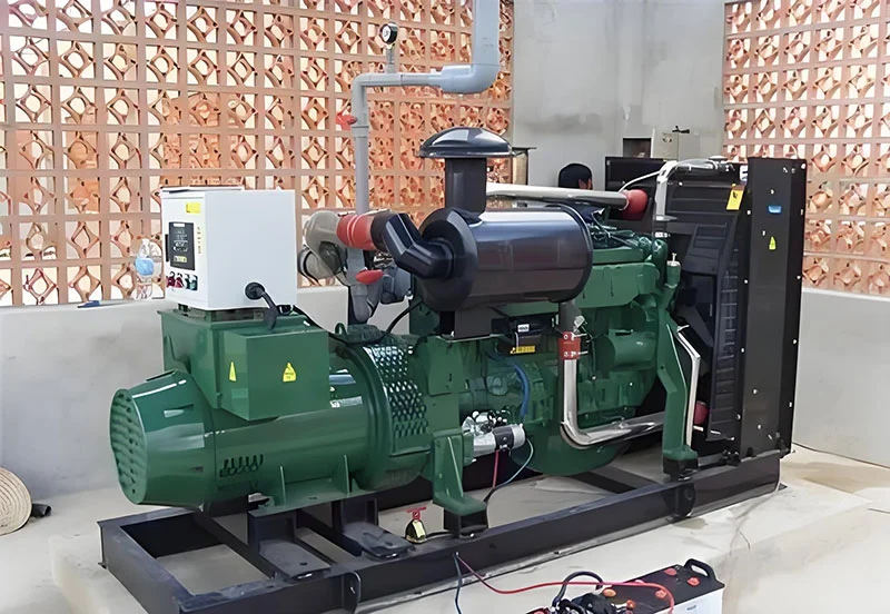 800kw Biogas Generator